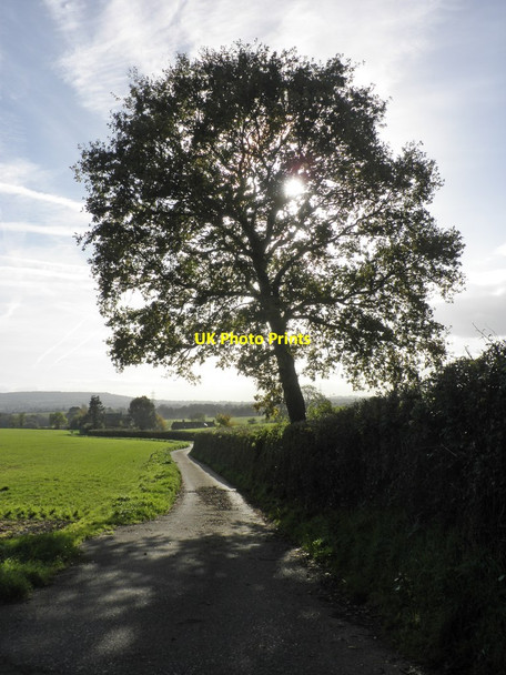 Photo 6"x4" Road to Bickley Cottages Weekmoor c2013