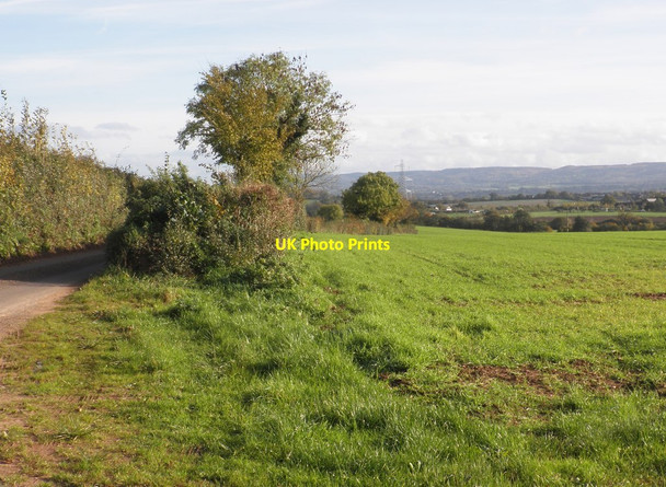 Photo 6"x4" Field at Bickley Farm Weekmoor c2013