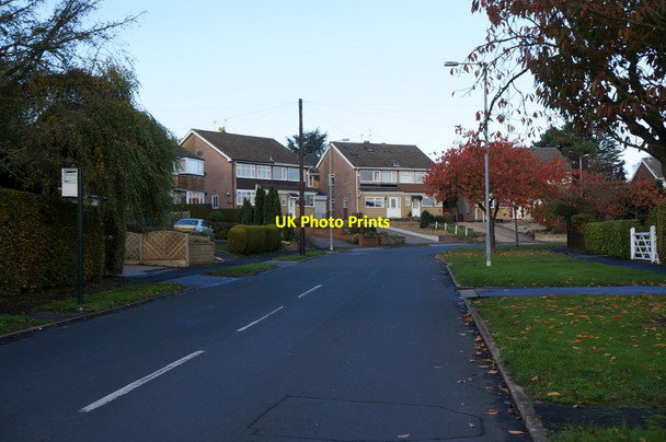 Photo 6"x4" Woodland Drive off Tranby Lane Hessle\/TA0326 c2013