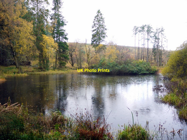 Photo 6"x4" Pond near Sidwood Greenhaugh\/NY7987 c2013