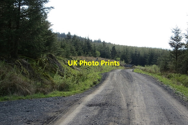 Photo 6"x4" Logging road, Carron Valley Forest High Banton c2013