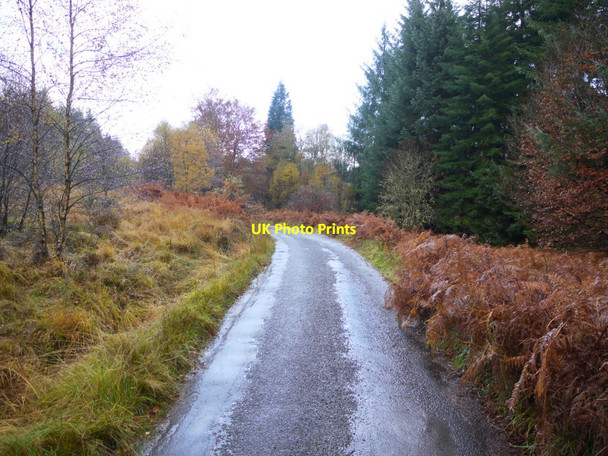 Photo 6"x4" Road south-east of Sidwood Greenhaugh\/NY7987 c2013