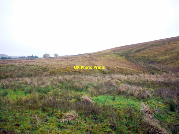 Photo 6"x4" Moorland near Redheugh Greenhaugh\/NY7987 c2013