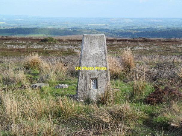 Photo 6"x4" Trig Pillar S6900 - Spaunton Thorgill c2013