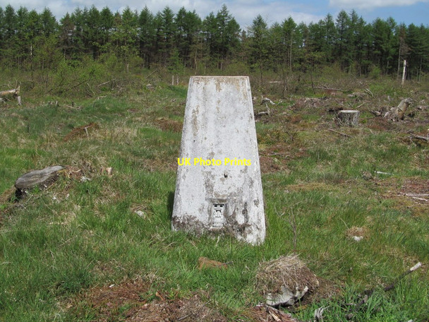 Photo 6"x4" Trig Pillar S6883 - Leaf Howe Stape c2013