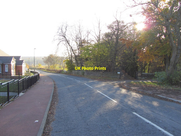 Photo 6"x4" Coach Road, Throckley Ryton\/NZ1564 c2013