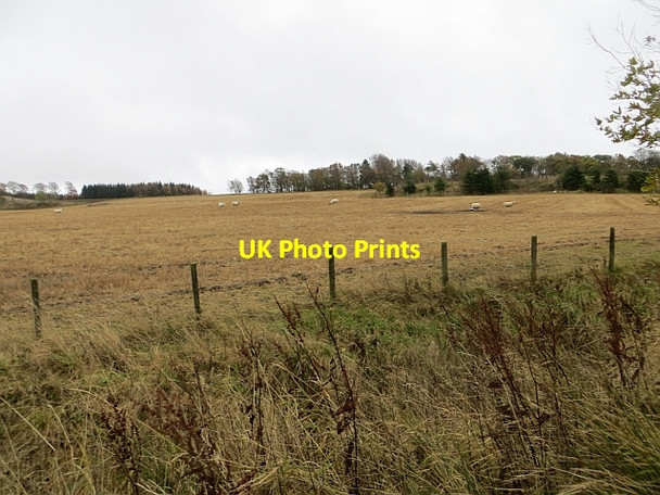 Photo 6"x4" Peat Hill Drum\/NO0400 c2013