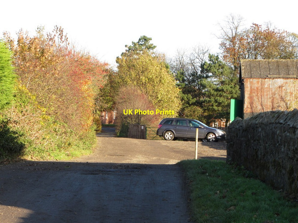 Photo 6"x4" Lane north of South Farm, Throckley Ryton\/NZ1564 c2013