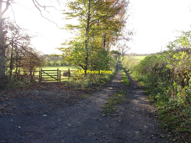 Photo 6"x4" Track west of South Farm, Throckley Ryton\/NZ1564 c2013