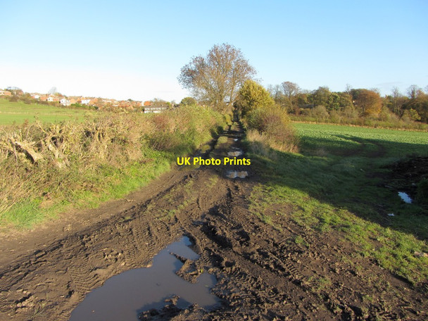 Photo 6"x4" Track heading east towards South Farm, Throckley Ryton\/NZ1564 c2013