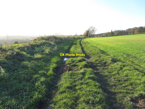 Photo 6"x4" Track west of South Farm, Throckley Ryton\/NZ1564 c2013