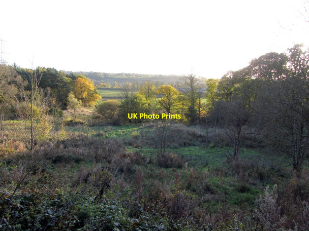Photo 6"x4" Tyne Riverside Country Park near Throckley (Reigh) Pond Ryton\/NZ1564 c2013