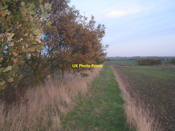 Photo 6"x4" Footpath to Ingham Coates\/SK9183 c2013