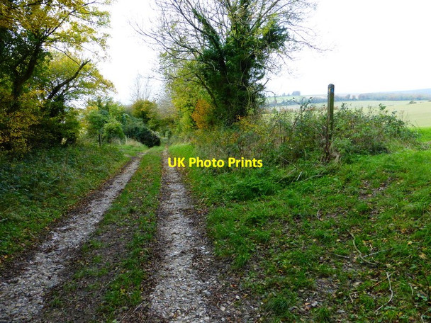 Photo 6"x4" Bridleway looking west at Up Marden Up Marden c2013