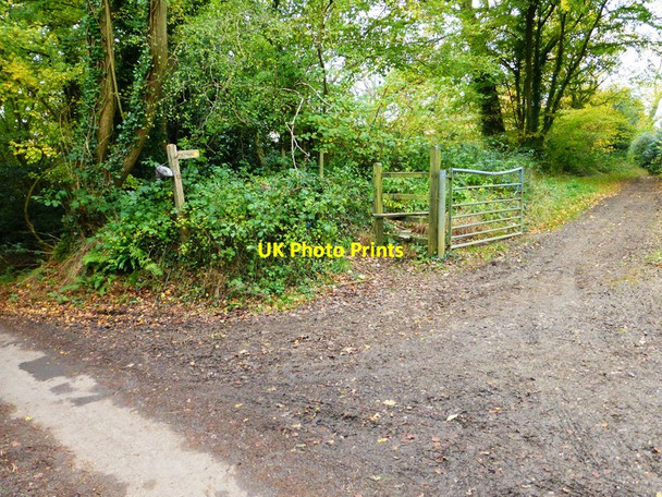 Photo 6"x4" Footpath junction with road south of Up Marden Up Marden c2013