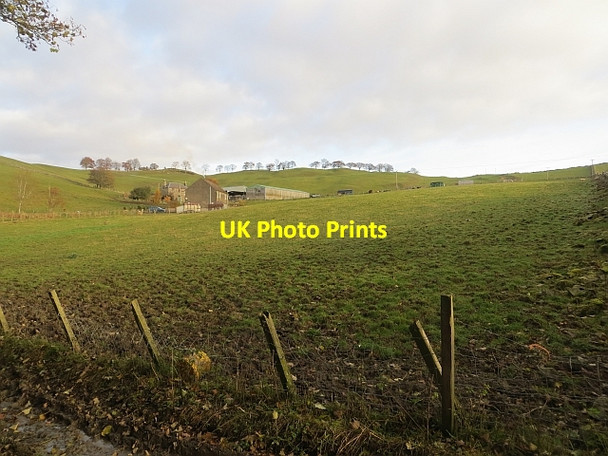 Photo 6"x4" South Common Selkirk c2013