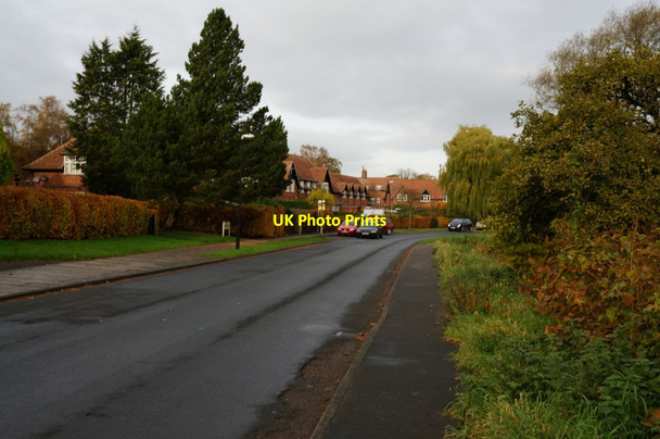 Photo 6"x4" Willow Bank, New Earswick, York Huntington\/SE6155 c2013