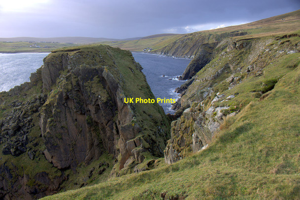 Photo 6"x4" Stack of Russalore, Lamba Ness Kirkaton c2013