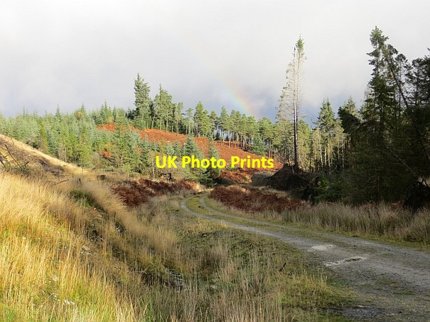 Photo 6"x4" Road, Loch Ard Forest Lime Hill c2013