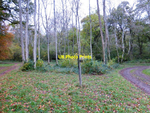 Photo 6"x4" Footpath changes direction  in Dolly's Hanger West Marden c2013