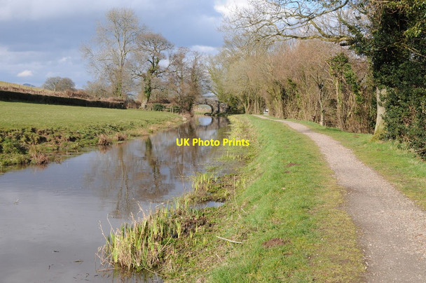 Photo 6"x4" The Monmouthshire and Brecon Canal Beili-glas c2013
