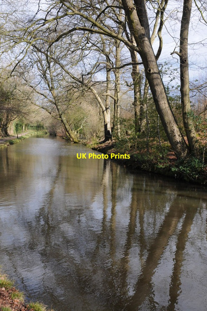 Photo 6"x4" The Monmouthshire and Brecon Canal near Gafr-llwyd Pencroesoped c2013
