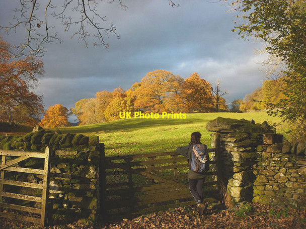 Photo 6"x4" A gateway by Stagshaw Gardens Ambleside c2013