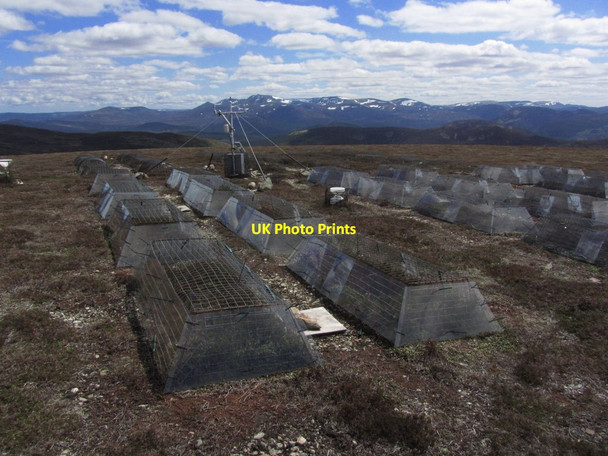Photo 6"x4" Experimental heather growing area W of Culardoch Culardoch c2013