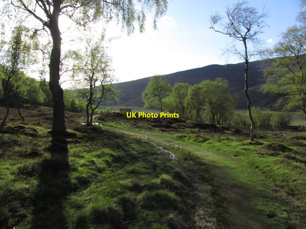 Photo 6"x4" At Braemar - Evening view NW by Auchendryne Auchendryne c2013