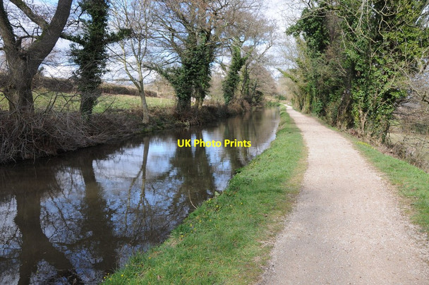 Photo 6"x4" Monmouthshire and Brecon Canal, near Mamhilad Mamhilad c2013