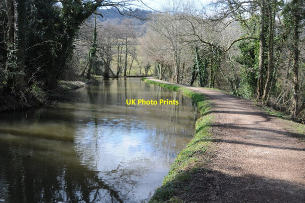 Photo 6"x4" The Monmouthshire and Brecon Canal, near Mamhilad Mamhilad c2013
