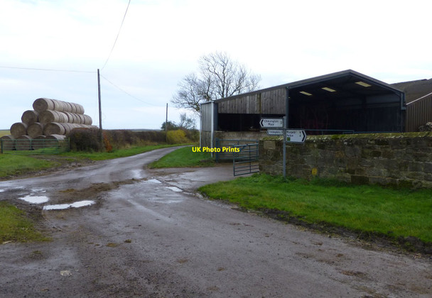 Photo 6"x4" Road junction at Earsdon Farm Tritlington c2013