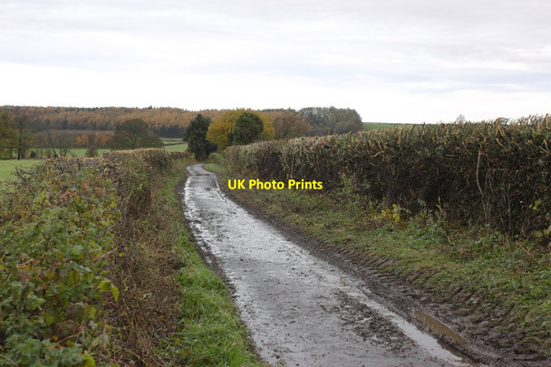 Photo 6"x4" Shaw Lane Farnham\/SE3460 c2013