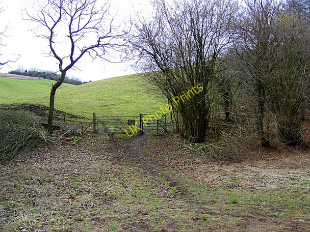 Photo 6"x4" Bridleway to Freak's Coppice Well Bottom\/ST9116 c2009