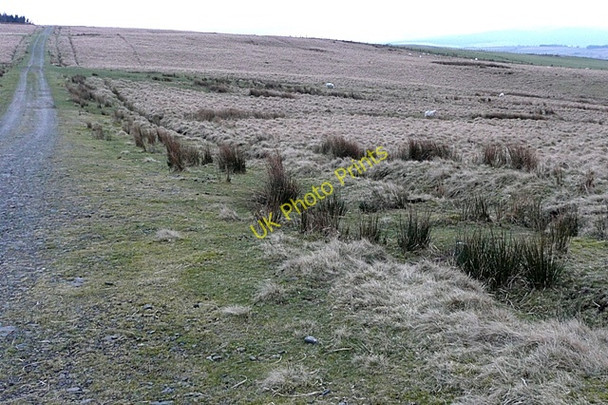 Photo 6"x4" Old road to Llywel Llywel c2009