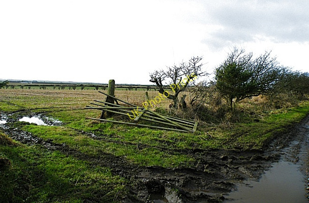 Photo 6"x4" Near Mains of Knockhall Newburgh\/NJ9925 c2009