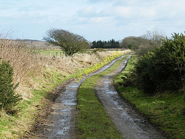 Photo 6"x4" Track to Mains of Knockhall Newburgh\/NJ9925 c2009