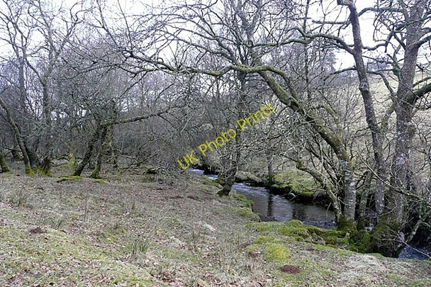 Photo 6"x4" Cilieni valley Llandeilo'r-Fan c2009
