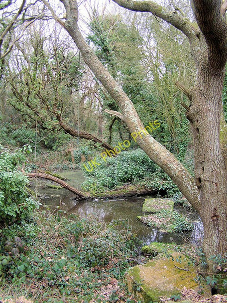 Photo 6"x4" Cooden Moat near Bexhill Cooden c2009