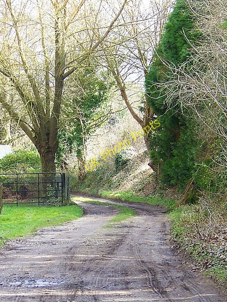 Photo 6"x4" Bridleway, Athelhampton Athelhampton c2009