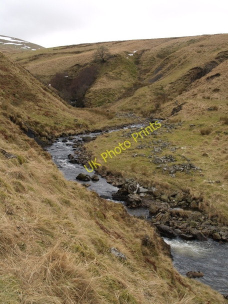 Photo 6"x4" Cow Linn, Fruid Water Birk Craigs c2009