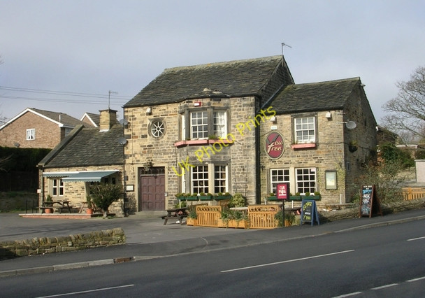 Photo 6"x4" Yew Tree - Newall Carr Road Otley\/SE2045 c2009