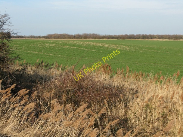 Photo 6"x4" Medieval salt works on Chislet Marshes Marshside\/TR2266 c2009