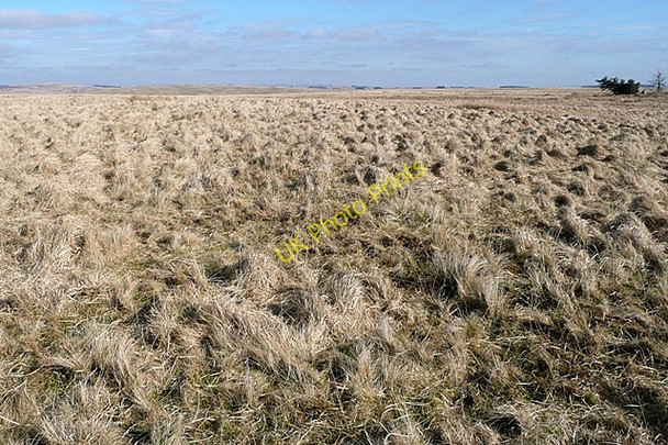Photo 6"x4" On Crug Du Crug Du c2009