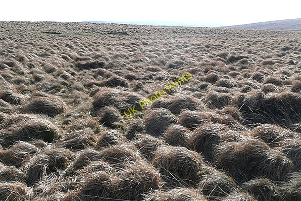 Photo 6"x4" On Crug Du Garn Wen\/SN9340 c2009