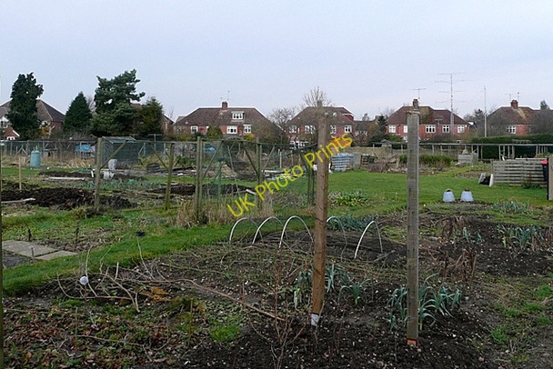 Photo 6"x4" Bartlemy Road allotments Newbury\/SU4767 c2009