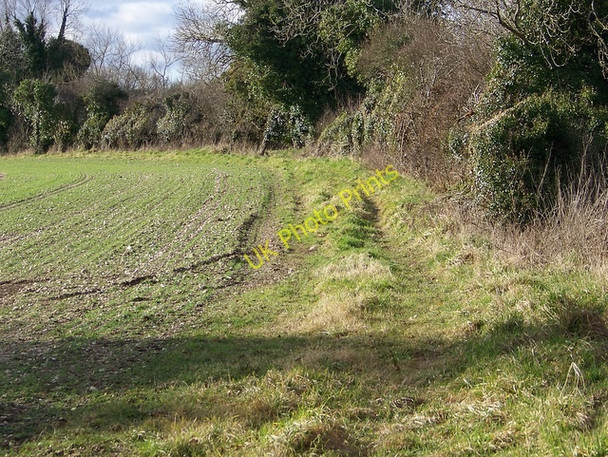 Photo 6"x4" Footpath to Woodsford Woodsford c2009