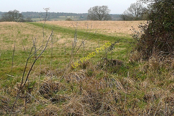 Photo 6"x4" Footpath to Skinner's Green Newbury\/SU4767 c2009