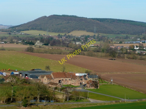 Photo 6"x4" Flanesford Priory Goodrich c2009