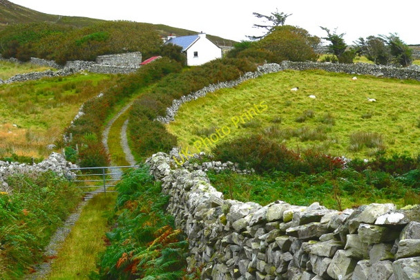 Photo 6"x4" Horn Head - Road with walls to farm house Dunfanaghy c2005